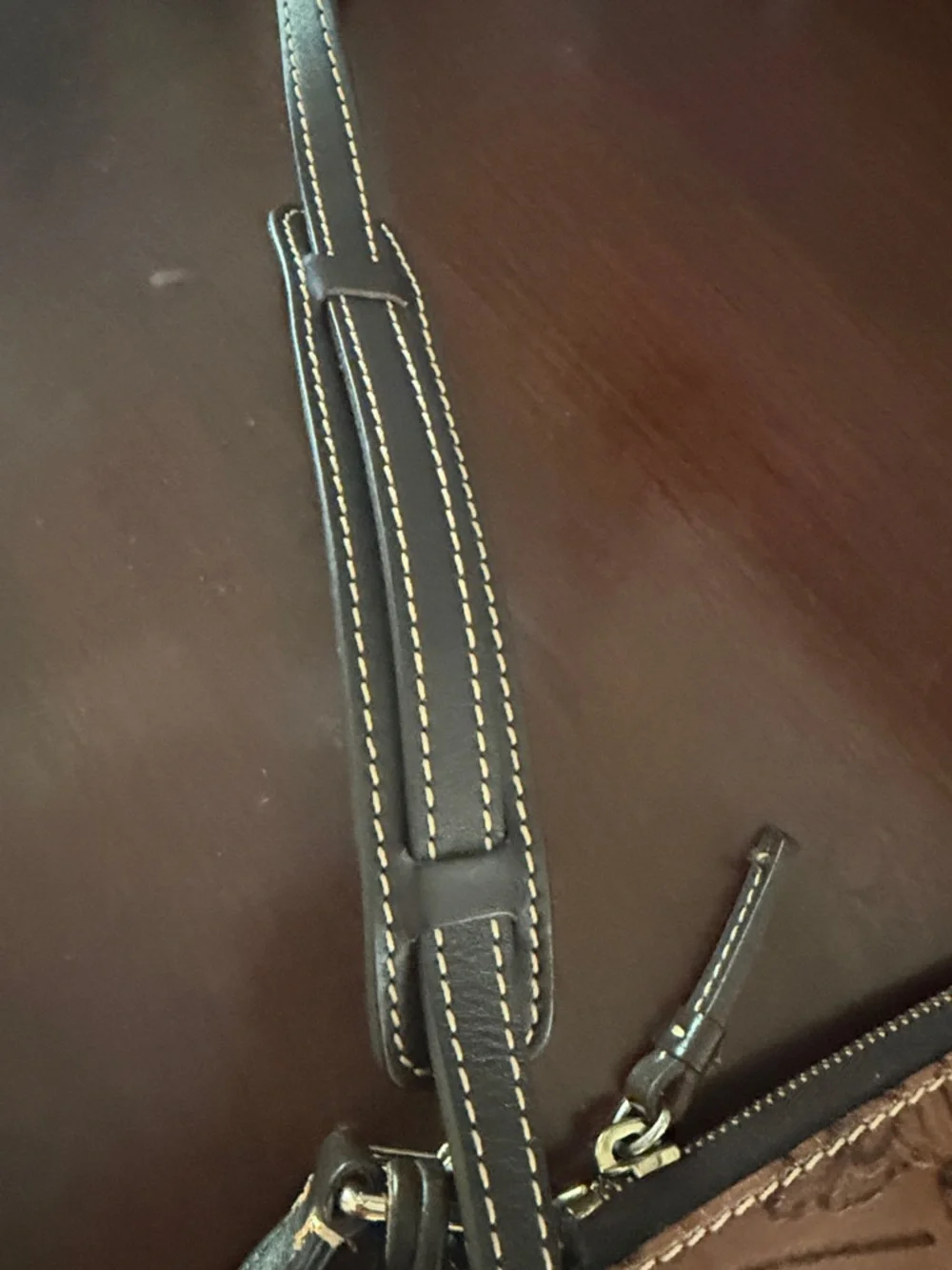 Dooney & Bourke Disney world parks Brown Embossed Leather Crossbody/Dark Trim - Picture 2 of 16